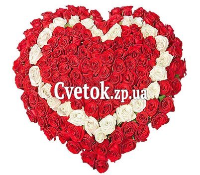 Сердце из роз 101 красная и белая