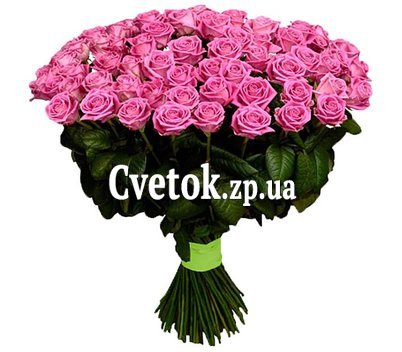 Chic pink roses