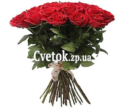 Темно красные розы