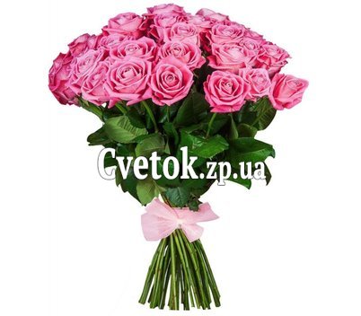 41 розовая роза