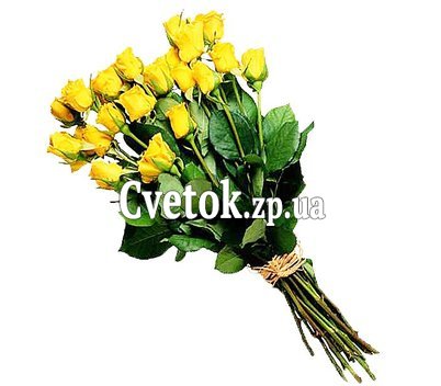 Желтые голландские розы