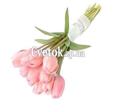 11 тюльпанов букет