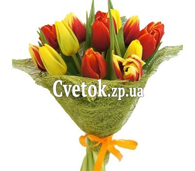 15 тюльпанов