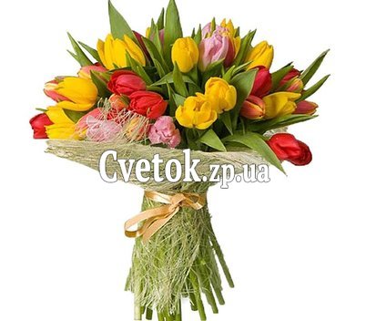 35 тюльпанов