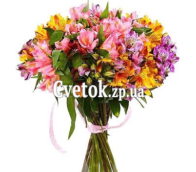 Альстромерии букет