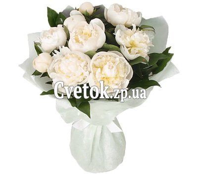 Белые пионы купить