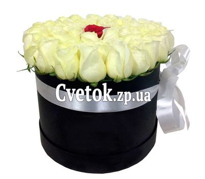 Белые розы и одна красная в коробке