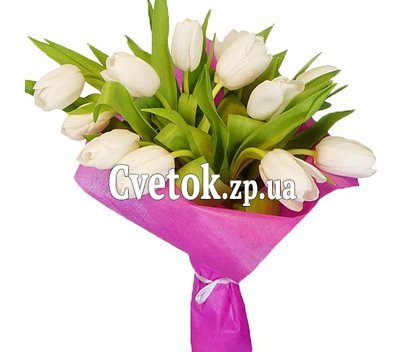 Белые тюльпаны