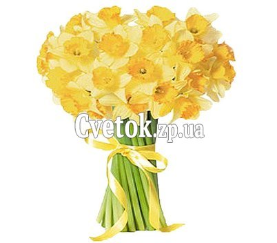 Большой букет нарциссов