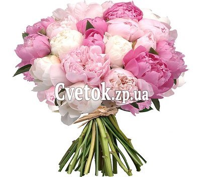 Большой букет пионов