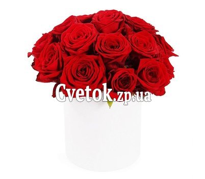 Бордовые розы в круглой коробке