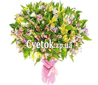 Букет 101 альстромерия