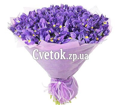 Букет 101 ирис синий