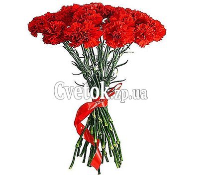 Букет 25 гвоздик