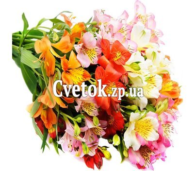Букет альстромерий