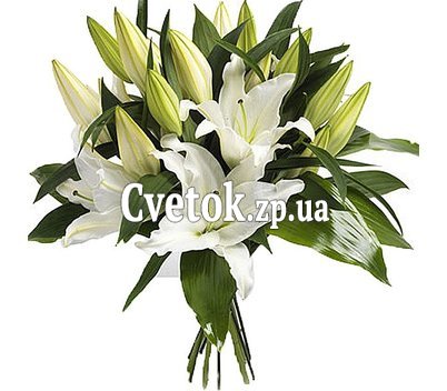 Букет белых лилий