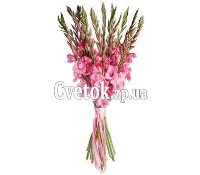Букет гладіолусів