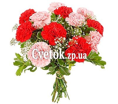 Букет гвоздик