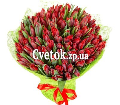 Букет из 100 тюльпанов + один