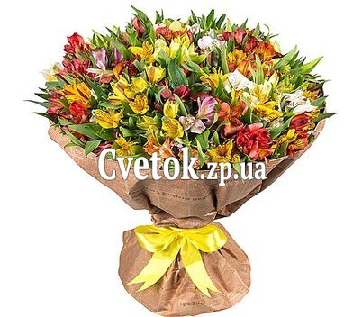 Букет из 101 альстромерии