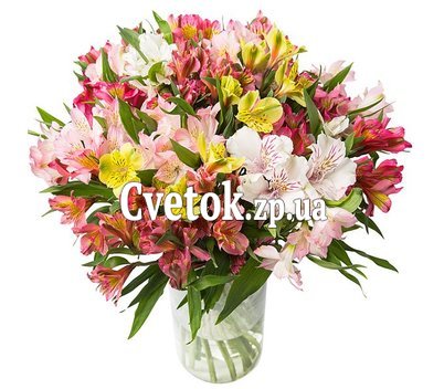 Букет из 25 альстромерий