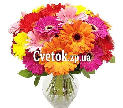 Букет из 25 гербер