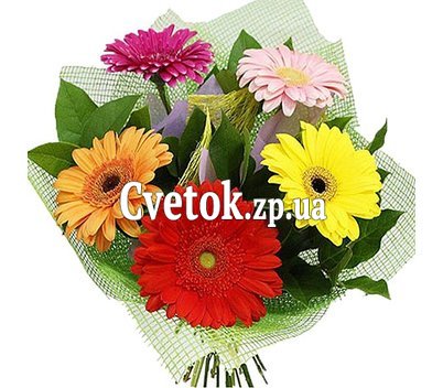 Букет из 5 гербер