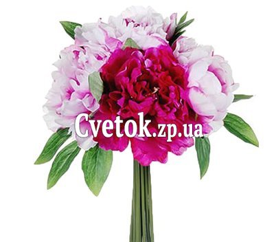 Букет из 5 пионов