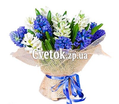 Букет из белых и синих гиацинтов