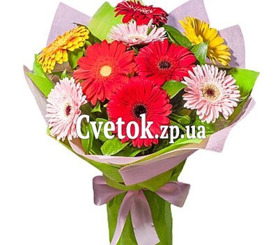 Bouquet of gerberas
