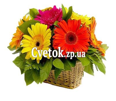 Букет из гербер в корзинке