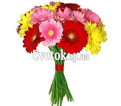 Букет из герберы