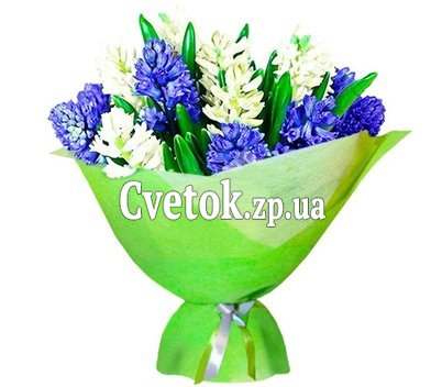 Букет из гиацинтов