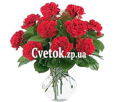 Букет из гвоздик купить