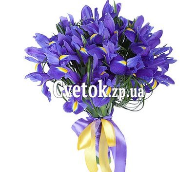 Букет из ирисов