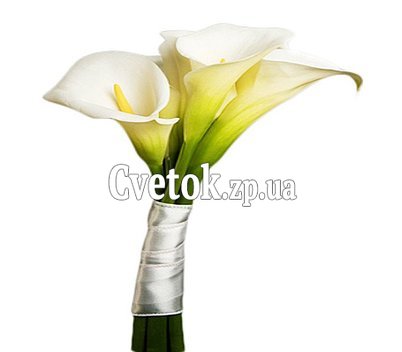 Букет из калл