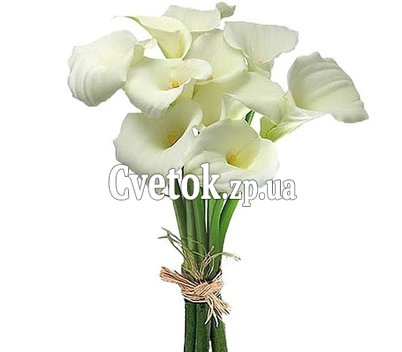 Букет из каллы