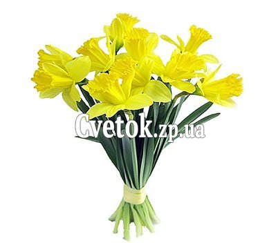 Букет из нарциссов
