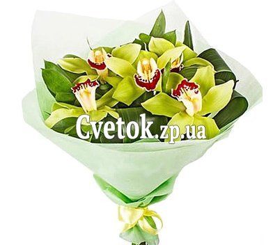 Букет из орхидей