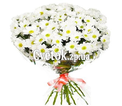 Bouquet of chamomiles to buy