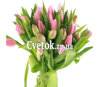 Букет из розовых тюльпанов