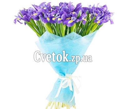 Букет из синих ирисов