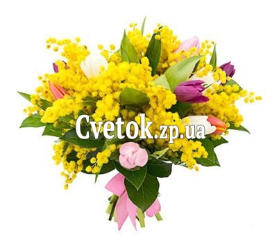 Букет з тюльпанів і мімози