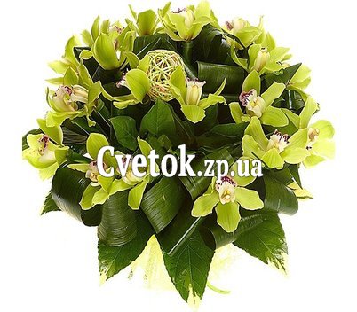 Букет из зеленых орхидей