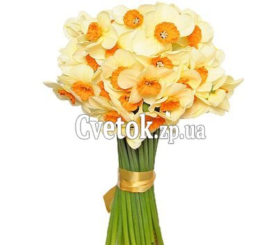 Bouquet of yellow daffodils