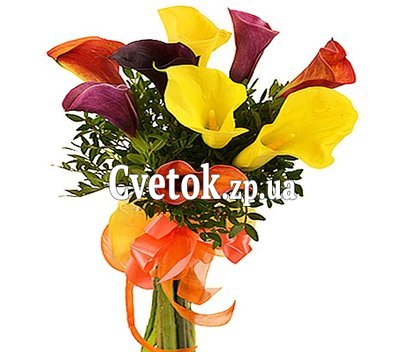 Букет калл