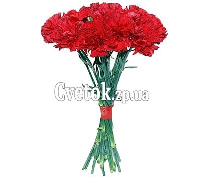 Букет красных гвоздик
