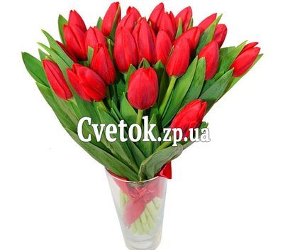 Букет красных тюльпанов с лентой