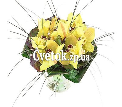 Букет орхидеи