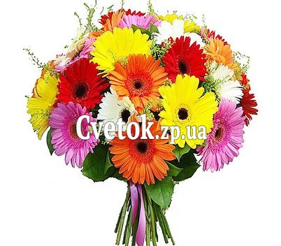 Букет разноцветных гербер